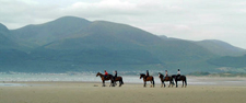 Ireland-Sligo/Donegal-Cross Country & Jumping  Program - Sligo